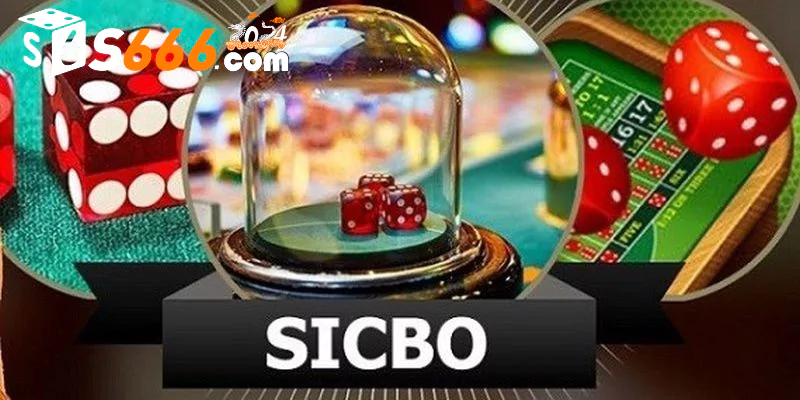 Sicbo cách chơi thắng lớn nhận thưởng siêu khủng