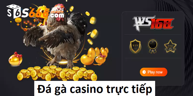 Đá gà casino trực tiếp hấp dẫn chỉ có tại S666